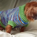 A Howliday Boutique & Open House Will Be At PCAPS Coming This Saturday