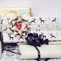 Santa For Seniors Extended