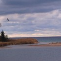 WVEL Weatherwatch: Wind Advisory