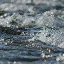 Clean Water Celebration Reminder