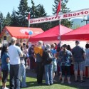 The 25th Annual Elmwood Strawberry Festival Happens This Saturday