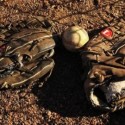 All-Star Baseball Classic To Aid Ronald McDonald House