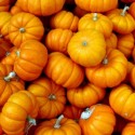 The 47th Annual Morton Pumpkin Festival Is Coming