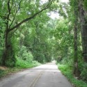 WVEL TravelWatch: Spoon River Valley Scenic Drive