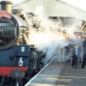 WVEL HolidayWatch: Santa’s Wildlife Express