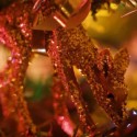 WVEL HolidayWatch: Christmas By The Numbers