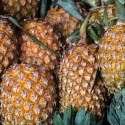 WVEL Health Watch: Pineapples, Health Benefits, And You!