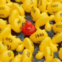 WVEL Community Scene: 27th Annual Duck Race