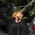 28th Annual Blues And Heritage Festival