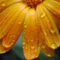 WVEL Weather Scope: September Warmth In The Land Of Lincoln