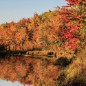 WVEL Weather Scope: Illinois Sees Warmest Fall On Record Since 1931