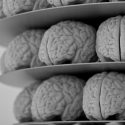 WVEL Health Scope: Mini/Warning Stroke Symptoms